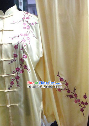 Chinese Professional Martial Arts Silk Tai Chi Suit