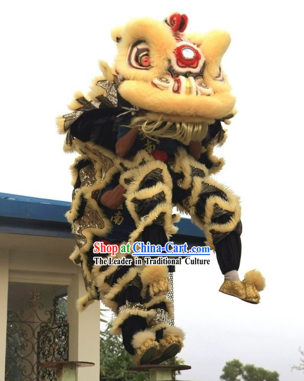 Competition and Display HOKSAN Lion Dance Costumes Complete Set