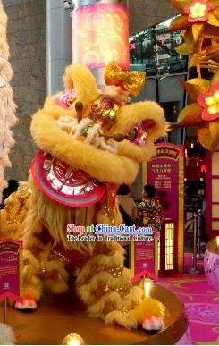 Display and Collection Handmade Lion Dance Costume Complete Set