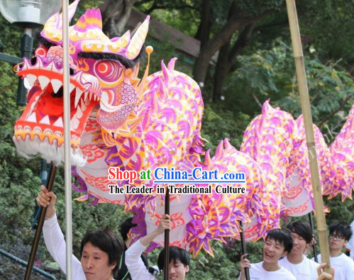 Luminous Dragon Dance Costumes Complete Set for 30 People