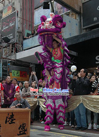 Business Opening Ceremony Southern Lion Dance Costumes Complete Set