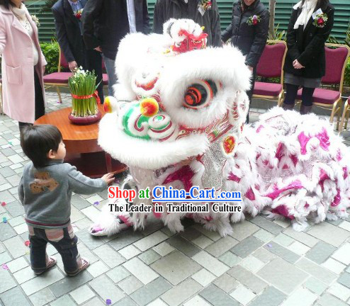 Top Handmade China Lion Dance Costume Complete Set