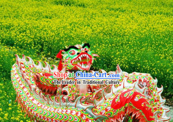 Luminous Dragon Dancing Costume Complete Set