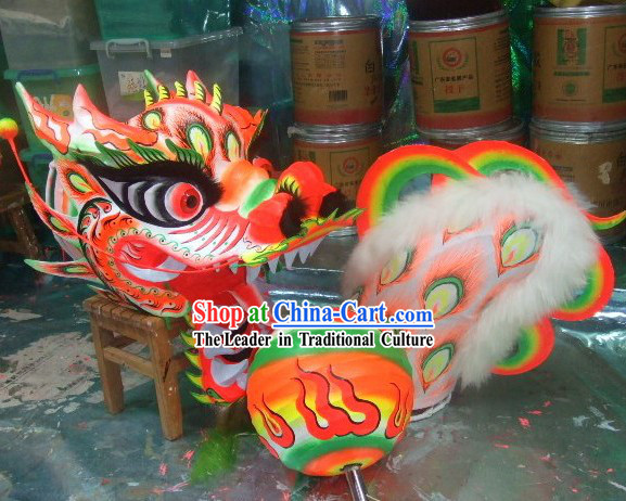 Luminous Phoenix Pattern Dragon Dance Equipment Complete Set