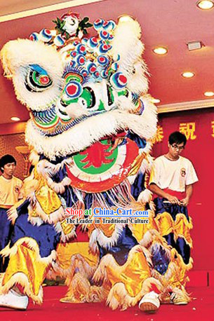 Happy Celebration Chinese Lion Dance Costumes Complete Set