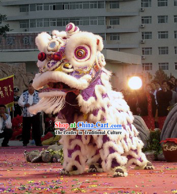 Supreme Luminous Glow in Dark Handmade Long Wool Lion Dance Costume Complete Set