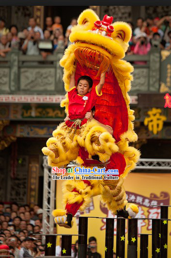 Teenagers Size Competition and Celebration Hoksan Lion Dance Costumes Complete Set