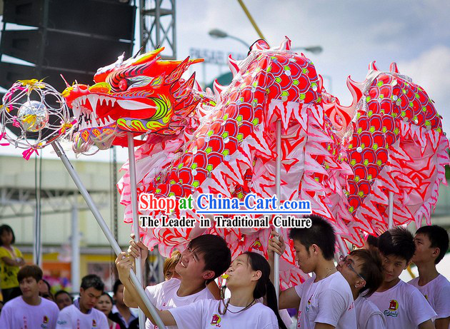 Professional Luminous Dragon Dance Equipment Complete Set for 9-10 Adults