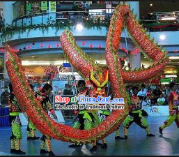 Professional Dragon Dance Troupe Dragon Costume Complete Set