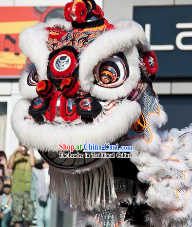 Top Southern Hoksan Lion Dancing Head and Costumes Complete Set