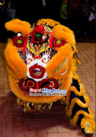 Southern Hoksan Lion Dancing Head and Costumes Rental