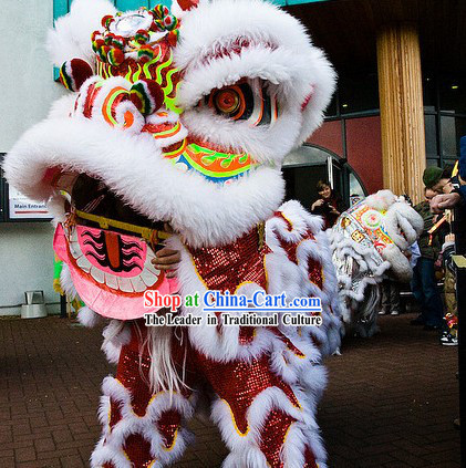 Luck Power Meaning Southern Futsan Lion Dance Costume Complete Set