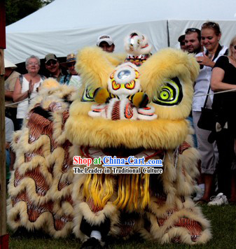 Business Ceremony Opening Southern Hoksan Lion Dance Head and Costume Complete Set