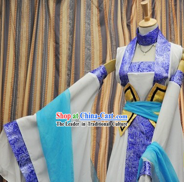 Ancient Chinese Blue and White Fairy Lady Costumes