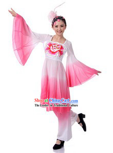 Traditional Chinese Group Classical Dance Costume and Hair Accessories for Women