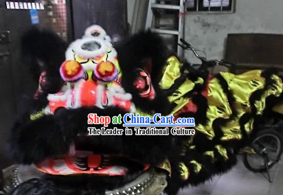 International Lion Dance Championships Costumes Full Set