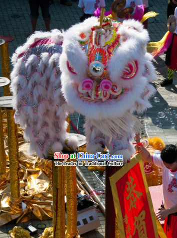 Friendly White Wool Lion Dance Costume Complete Set and the Silk Scroll Gift