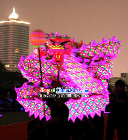 Top Pink Luminous Dragon Dance Costumes Full Set
