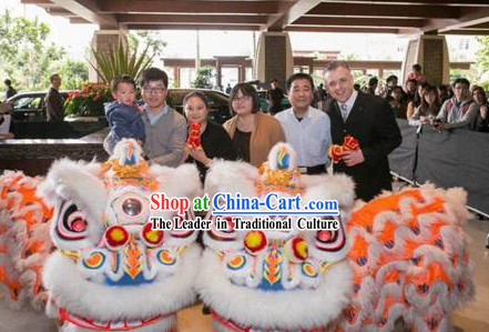 Five Stars Hotel Use Lion Dance Costume Complete Set