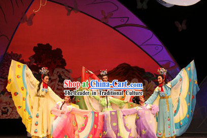 Traditional Chinese Opera Butterfly Love Liang Zhu Butterfly Costumes