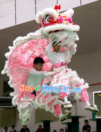 Top Pink Southern Lion Dance Equipment Complete Set