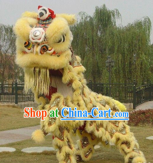 Asian Chinese Martial Lion Costume