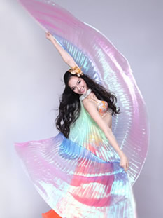 Belly Dance Costumes