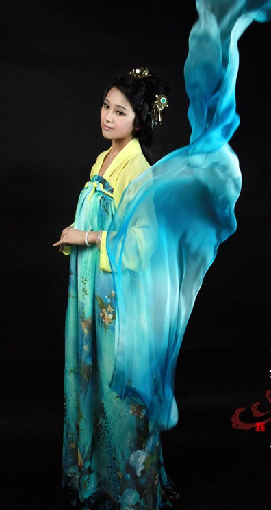 China Tang Maid Costumes Carnival Costumes Dance Costumes Traditional Costumes for Women