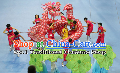 Handmade Lotus Ancient Style Dragon Costumes Complete Set for Adults