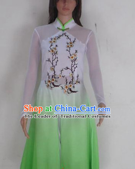 Chinese Teenagers Classical Dance Costume for Competition