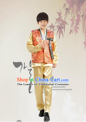 Korean Dress for Boys Teenagers Clothes Stage Costume Formal Dress Full Attire Show Blue