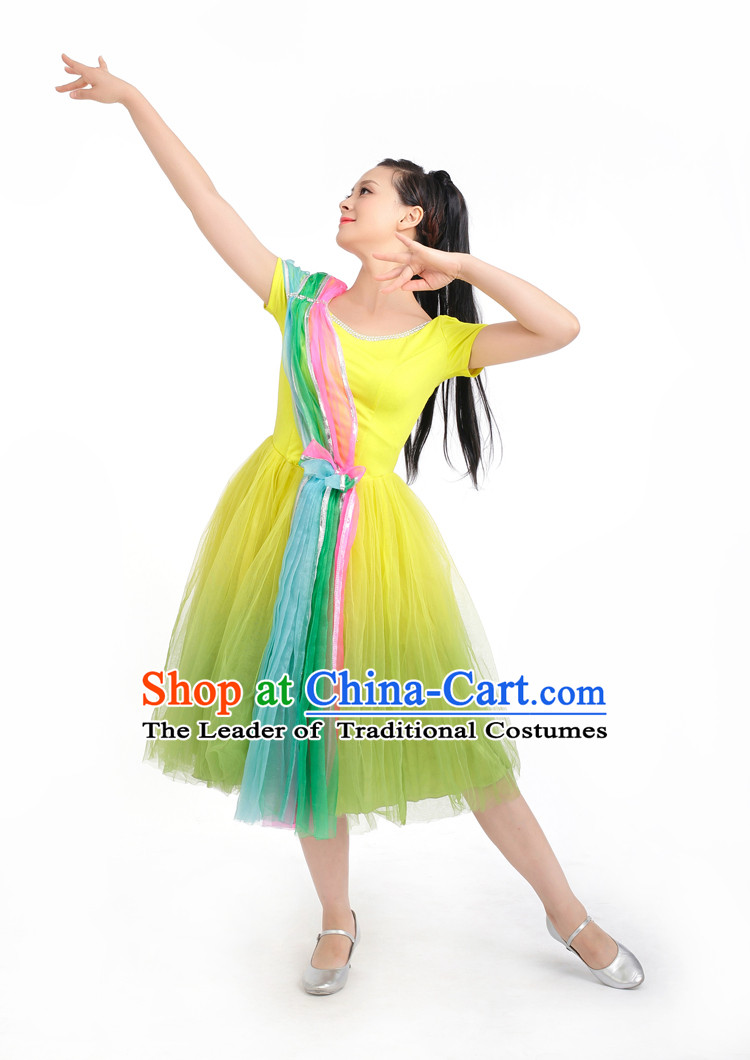 Chinese Competition Stage Dance Costumes Female Dance Costumes Folk Dances Ethnic Dance Fan Dance Dancing Dancewear for Women