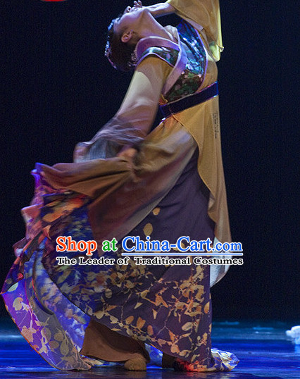 Chinese Classical Li Qingzhao Dance Costumes and Headdress Complete Set for Women or Gilrs