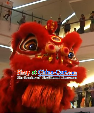 Red Chines Gong Xi Fa Cai Style Red Hok San Lion Dance Equipments Complete Set