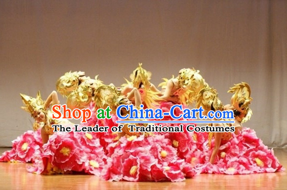 Chinese Classical Folk Dance Dress Clothing Dresses Costume Classic Dancing Cultural Dances Costumes for Women