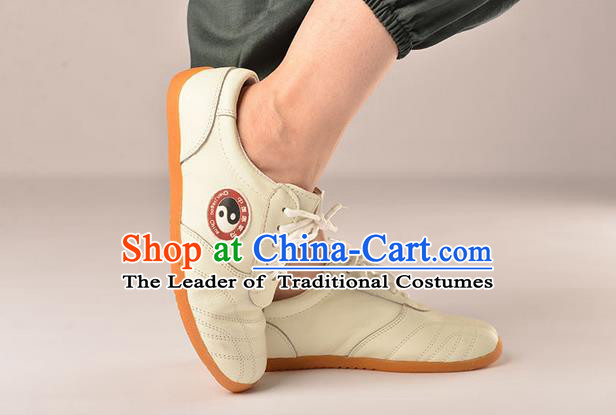 Traditional Chinese Top Kung Fu Shoes Martial Arts Kung Fu Training Tai Chi Taiji Shoes for Men