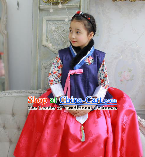 Traditional Korean Costumes Bride Formal Attire Ceremonial Red Dress, Korea Hanbok Court Embroidered Clothing for Kids