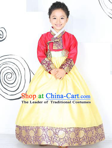 Traditional Korean Handmade Formal Occasions Costume Embroidered Baby Brithday Girls Red Blouse and Yellow Dress Hanbok Clothing