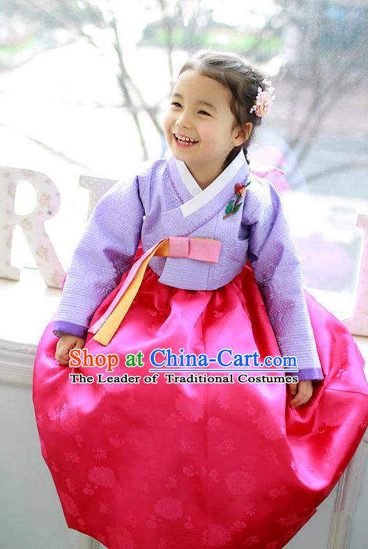 Traditional Korean Handmade Formal Occasions Costume Embroidered Purple Blouse and Pink Dress Hanbok Clothing for Girls