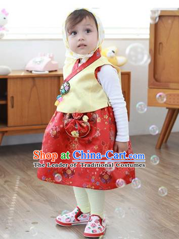 Asian Korean Traditional Handmade Formal Occasions Costume, Baby Princess Embroidered Red Hanbok Clothing for Girls