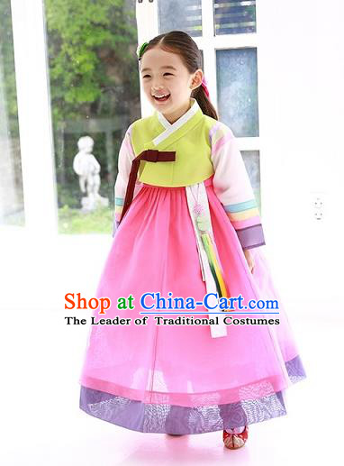 Asian Korean Traditional Handmade Formal Occasions Costume Princess Green Embroidered Blouse and Pink Dress Hanbok Clothing for Girls