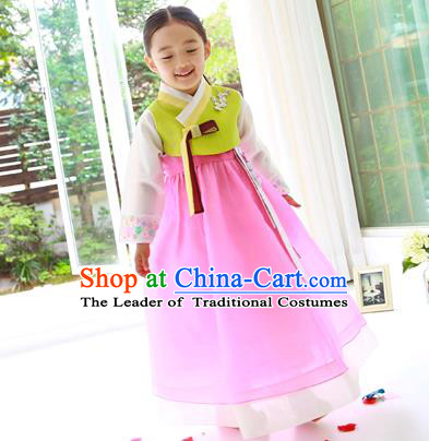 Asian Korean Traditional Handmade Formal Occasions Costume Princess Embroidered Green Blouse and Pink Veil Dress Hanbok Clothing for Girls