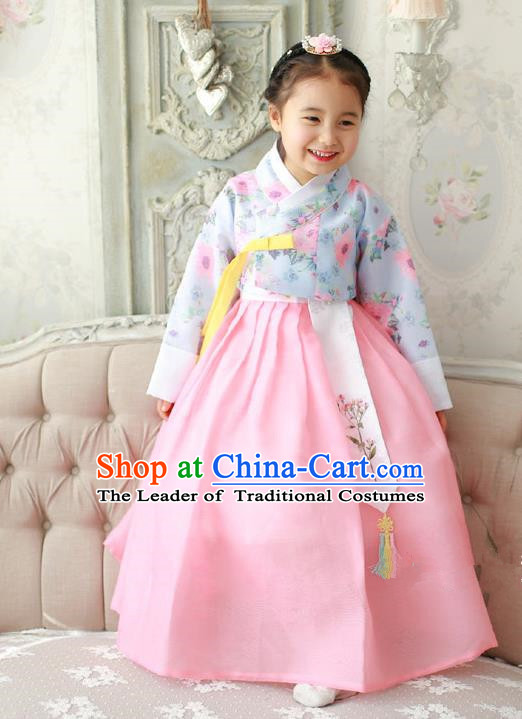 Asian Korean Traditional Handmade Formal Occasions Costume Princess Embroidered Blue Blouse and Pink Dress Hanbok Clothing for Girls