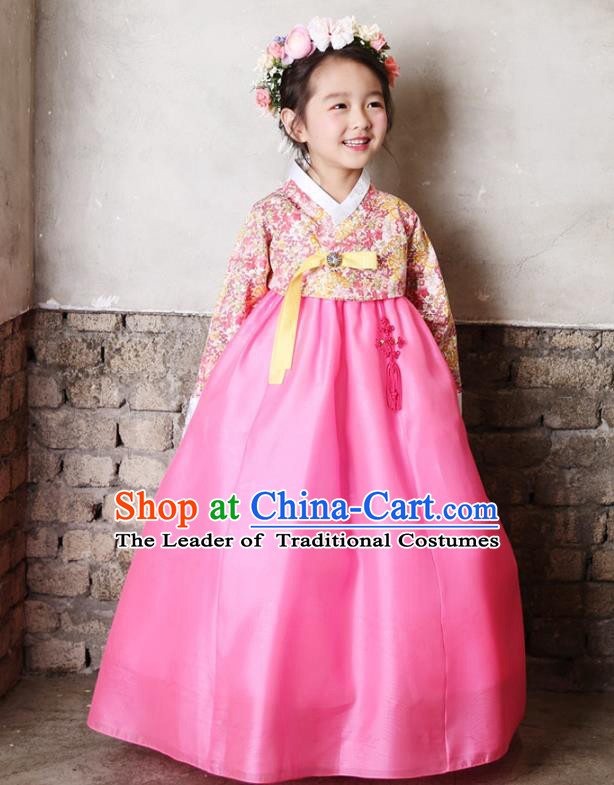 Asian Korean National Traditional Handmade Formal Occasions Girls Embroidery Hanbok Costume Printing Blouse and Pink Dress Complete Set for Kids