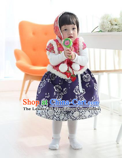 Asian Korean National Traditional Handmade Formal Occasions Girls Embroidery Hanbok Costume Pink Vest and Blue Dress Complete Set for Kids