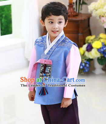 Asian Korean National Traditional Handmade Formal Occasions Boys Embroidery Blue Hanbok Costume Complete Set for Kids