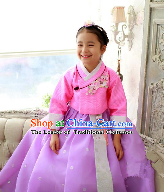 Korean National Handmade Formal Occasions Girls Embroidery Hanbok Costume Pink Blouse and Purple Dress Complete Set for Kids