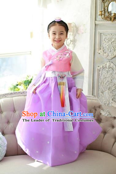 Korean National Handmade Formal Occasions Girls Embroidery Hanbok Costume Pink Blouse and Purple Dress Complete Set for Kids