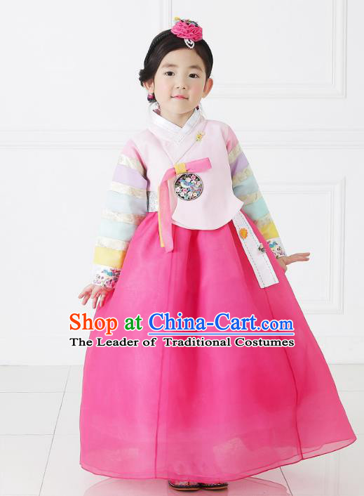 Asian Korean National Handmade Formal Occasions Embroidered Pink Blouse and Dress Hanbok Costume for Kids