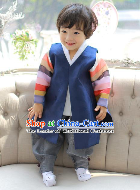 Asian Korean National Handmade Formal Occasions Embroidered Palace Prince Navy Hanbok Costume Complete Set for Boys